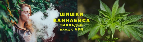 МДПВ Нея
