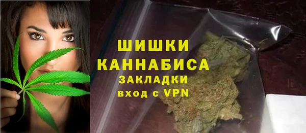 МДПВ Нея
