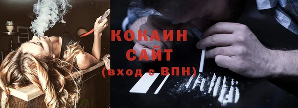 гидра Яровое