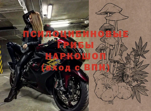 МДПВ Нея