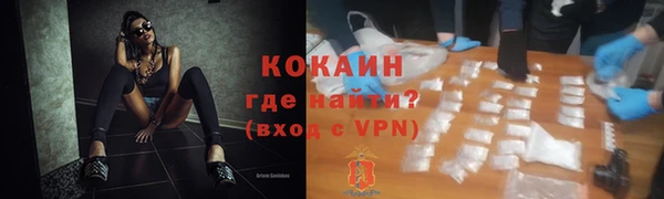 ПСИЛОЦИБИНОВЫЕ ГРИБЫ Горняк
