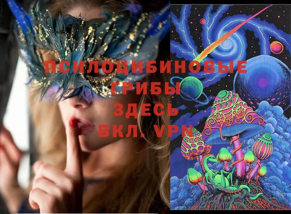 МДПВ Нея