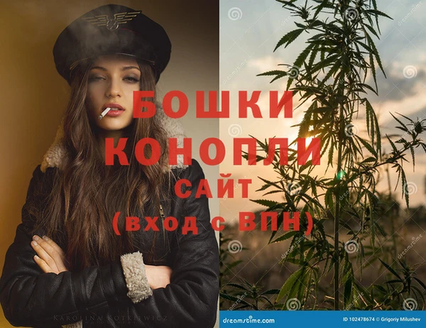 МДПВ Нея