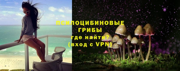 МДПВ Нея